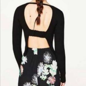 Openback long sleeve knit top